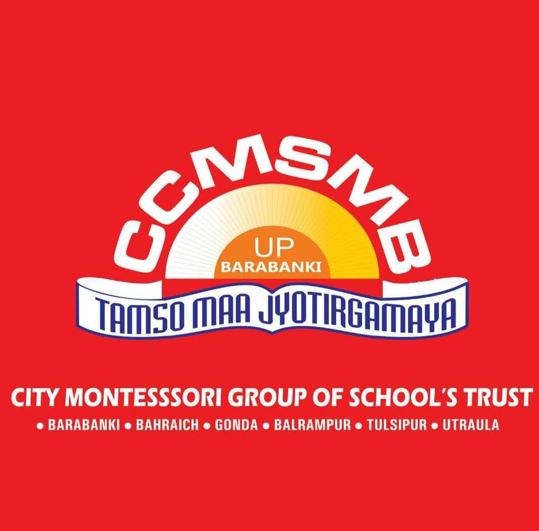City Montessori School